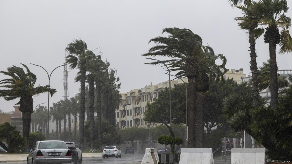 Los bomberos atienden cientos de incidencias por viento en Castellón