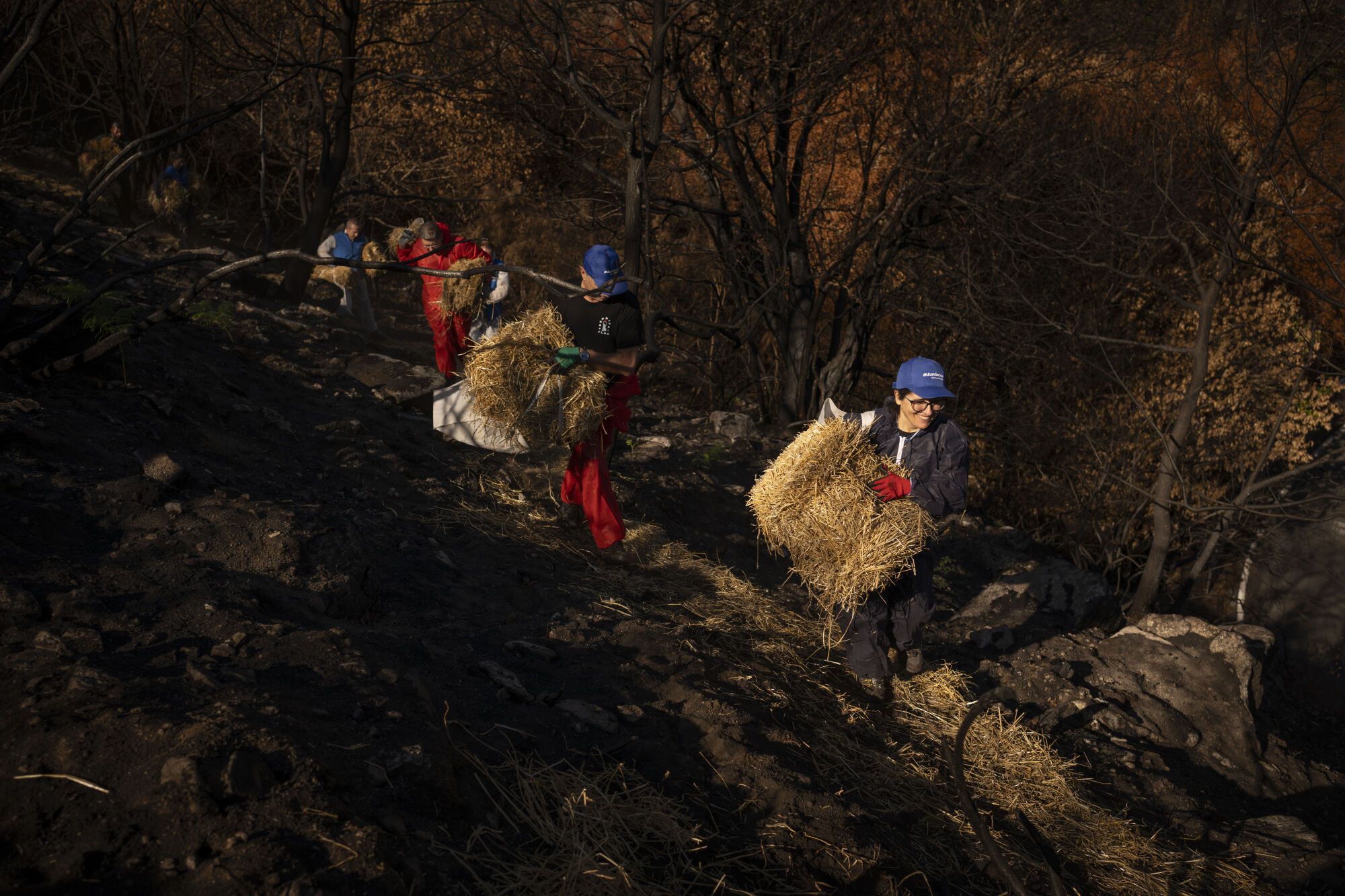 MANZANEDA (OURENSE), 11/10/2025.- Voluntarios comienzan su trabajo en el entorno de Rego da Mourela en Manzaneda (Ourense), para construir estructuras que impidan que las lluvias arrastren el terreno calcinado por los incendios forestales que afectaron a Galicia en agosto. EFE / Brais Lorenzo