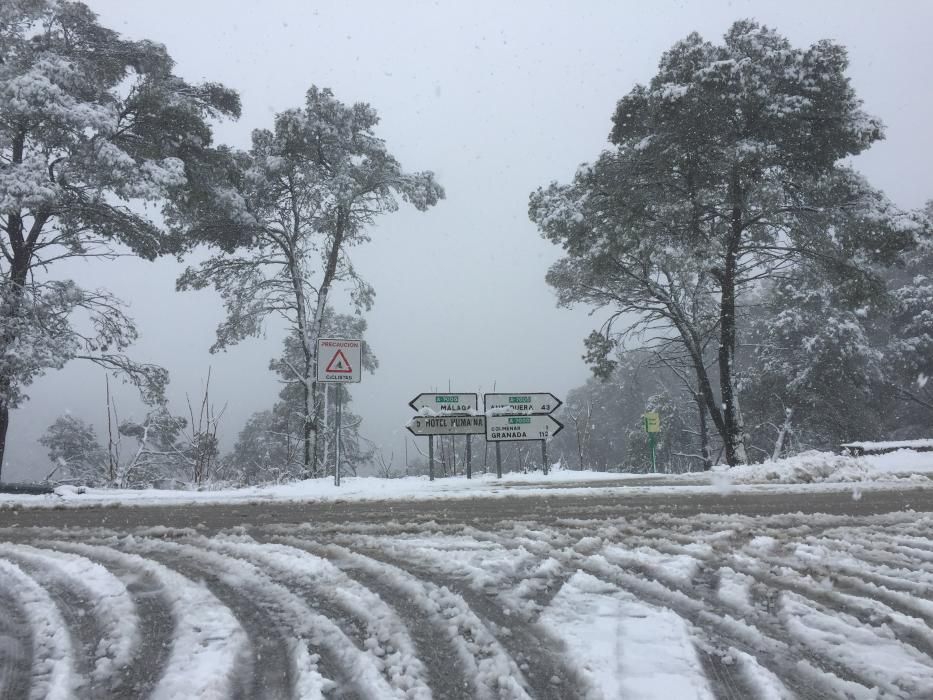 Las primeras nevadas llegan al Puerto del León, en los Montes de Málaga, que se sitúa a 900 metros de altura