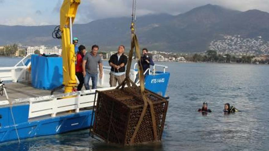 L&#039;extracció de l&#039;aigua d&#039;una de les gàbies de la Confraria de Pescadors.