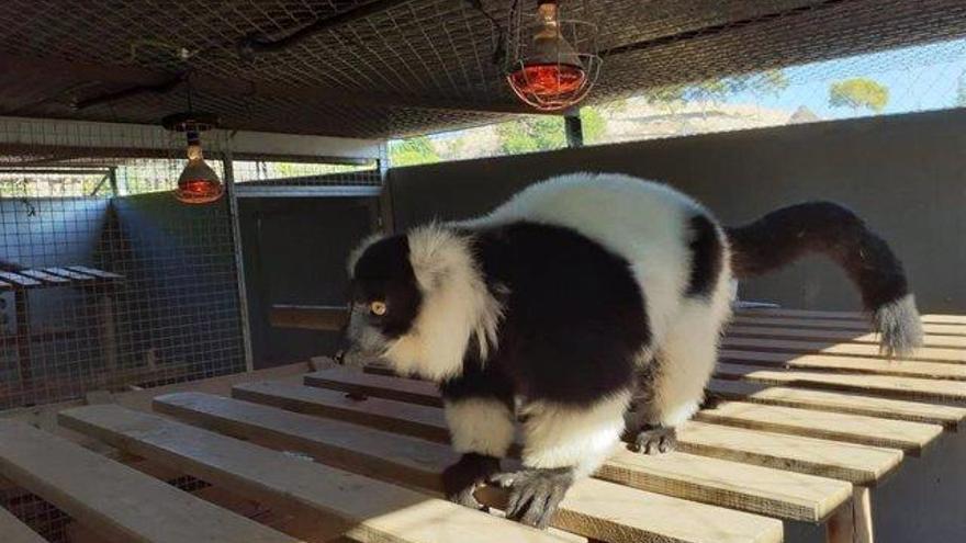 Terra Natura enciende la calefacción para sus animales