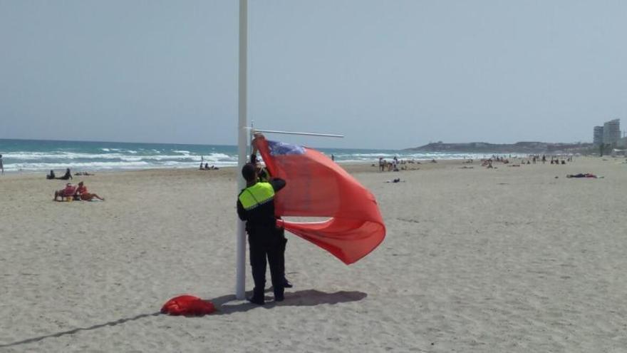 Bandera roja en San Juan por la plaga de medusas muy venenosas