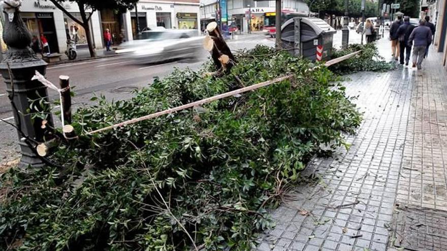 Carreteras cortadas, evacuados y alerta por desbordamiento en Valencia y Alicante