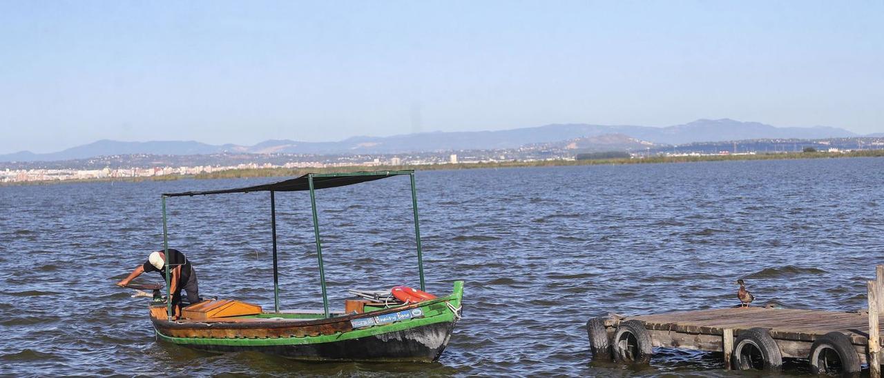 Una de las embarcaciones 
típicas de l’Albufera, faenando
en el lago. |  M.A.MONTESINOS