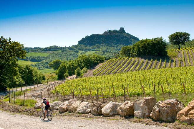 Vía Francigena, Italia, Bici