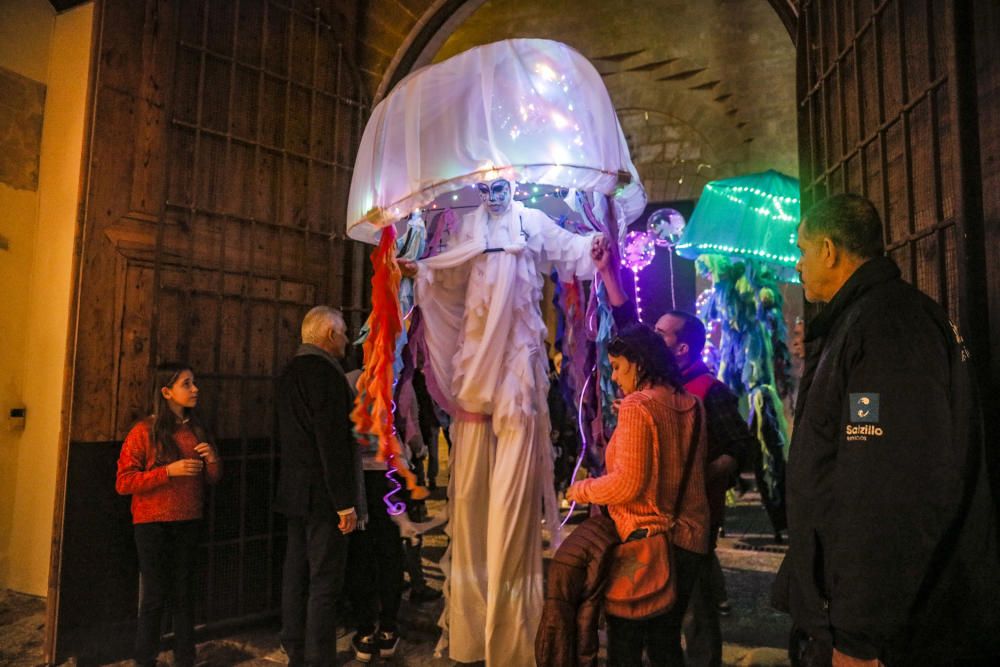 Palma "flipa" con el encendido de Navidad