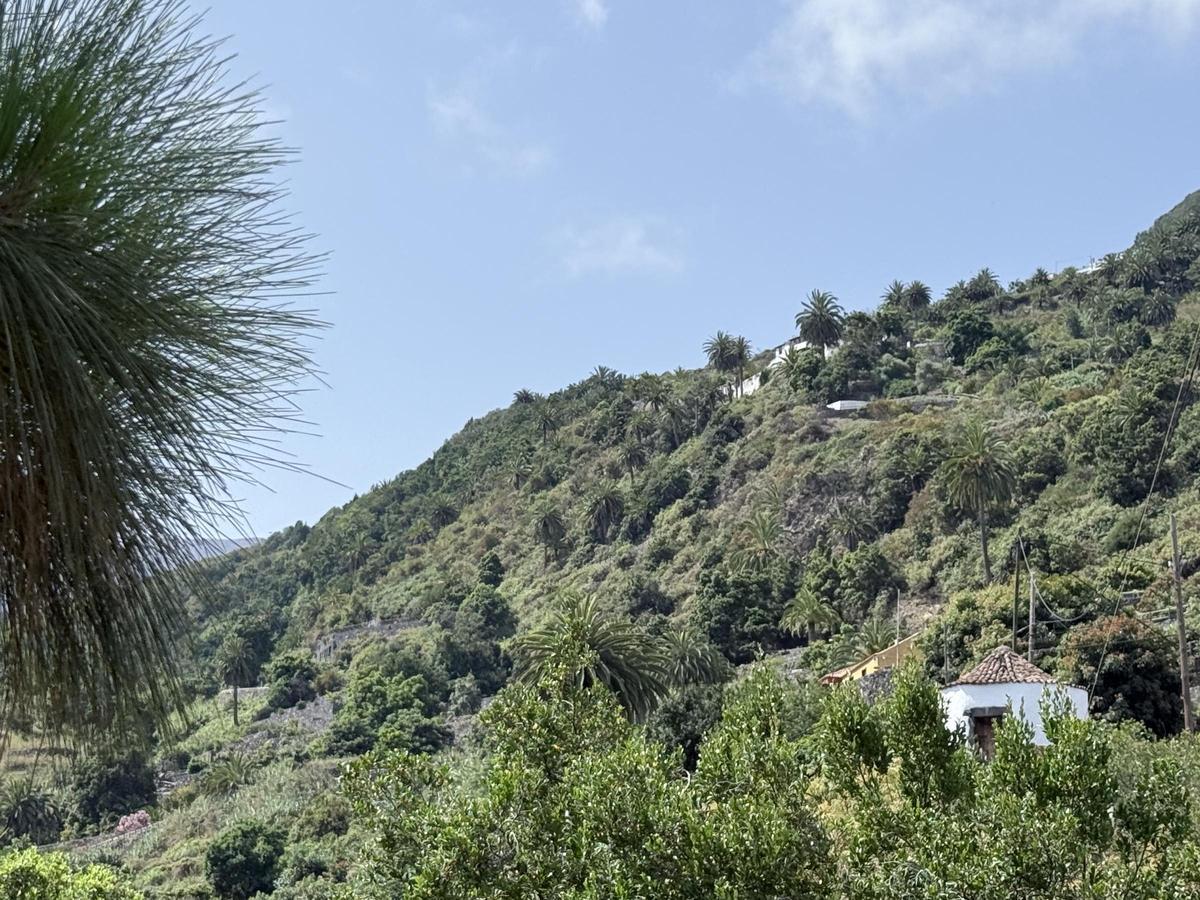 Boquín