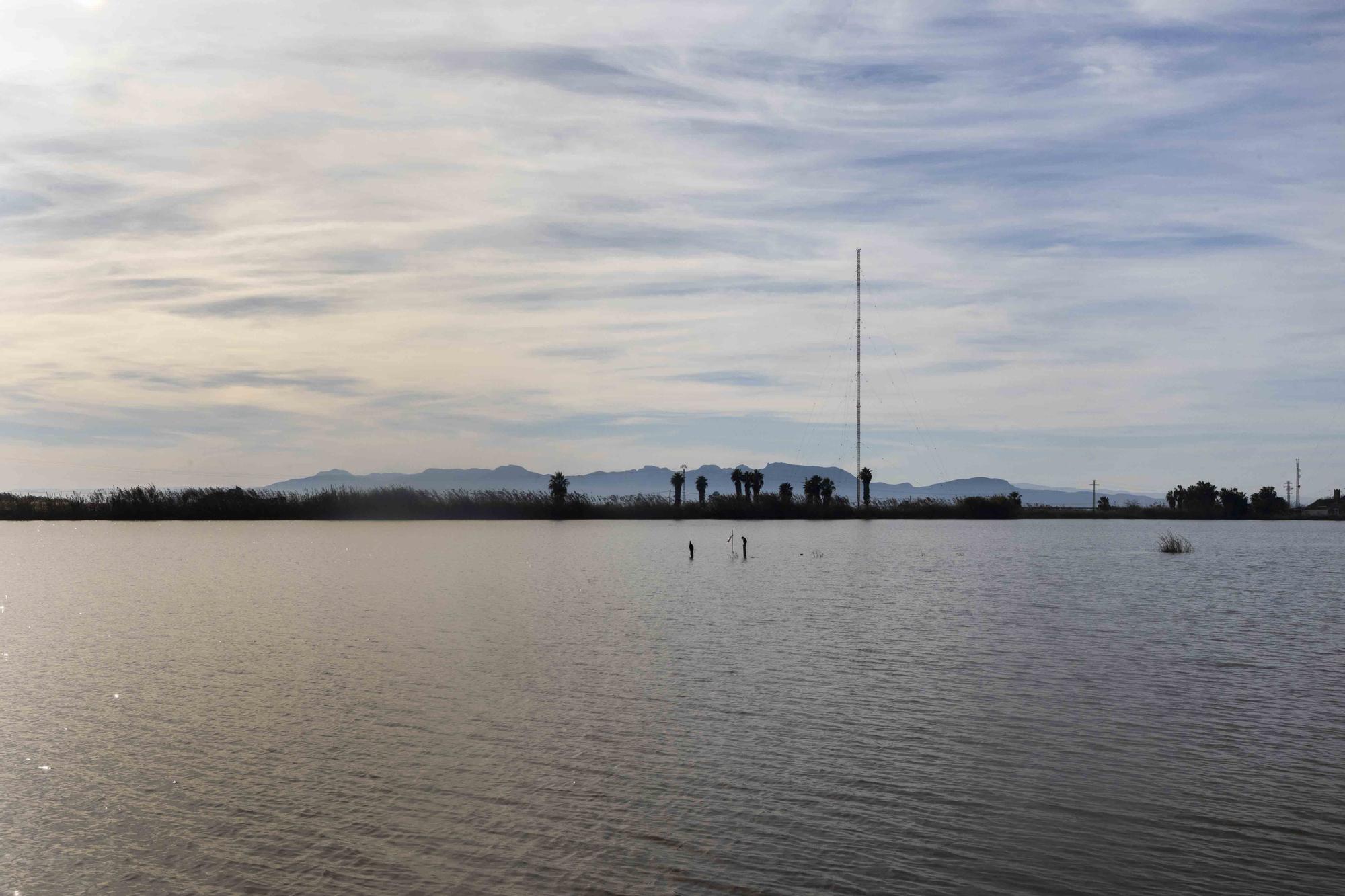 L'Albufera y su biodiversidad disfrutan de una caudal histórico