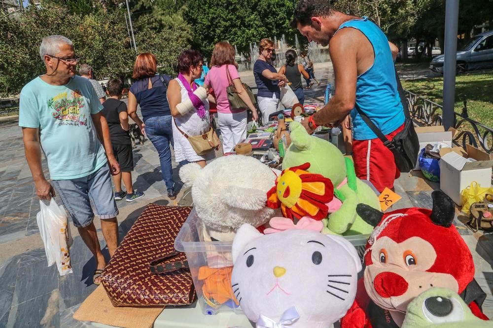 Jornada contra el maltrato animal en Orihuela