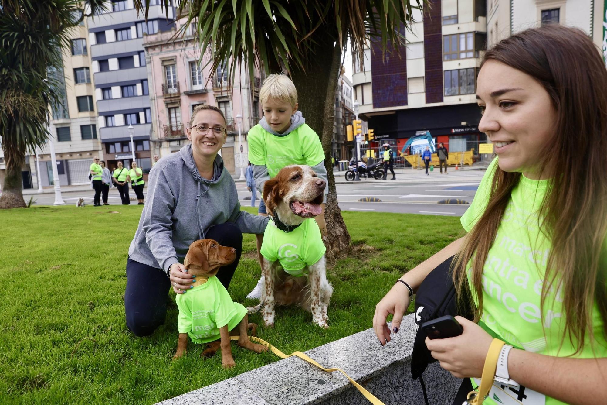 Así fue la carrera contra el cáncer de Gijón: en imágenes