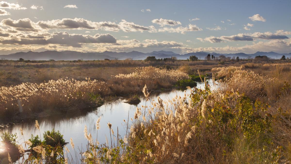 Bellos paisajes y la presencia de numerosas especies de aves pueblan el municipio.