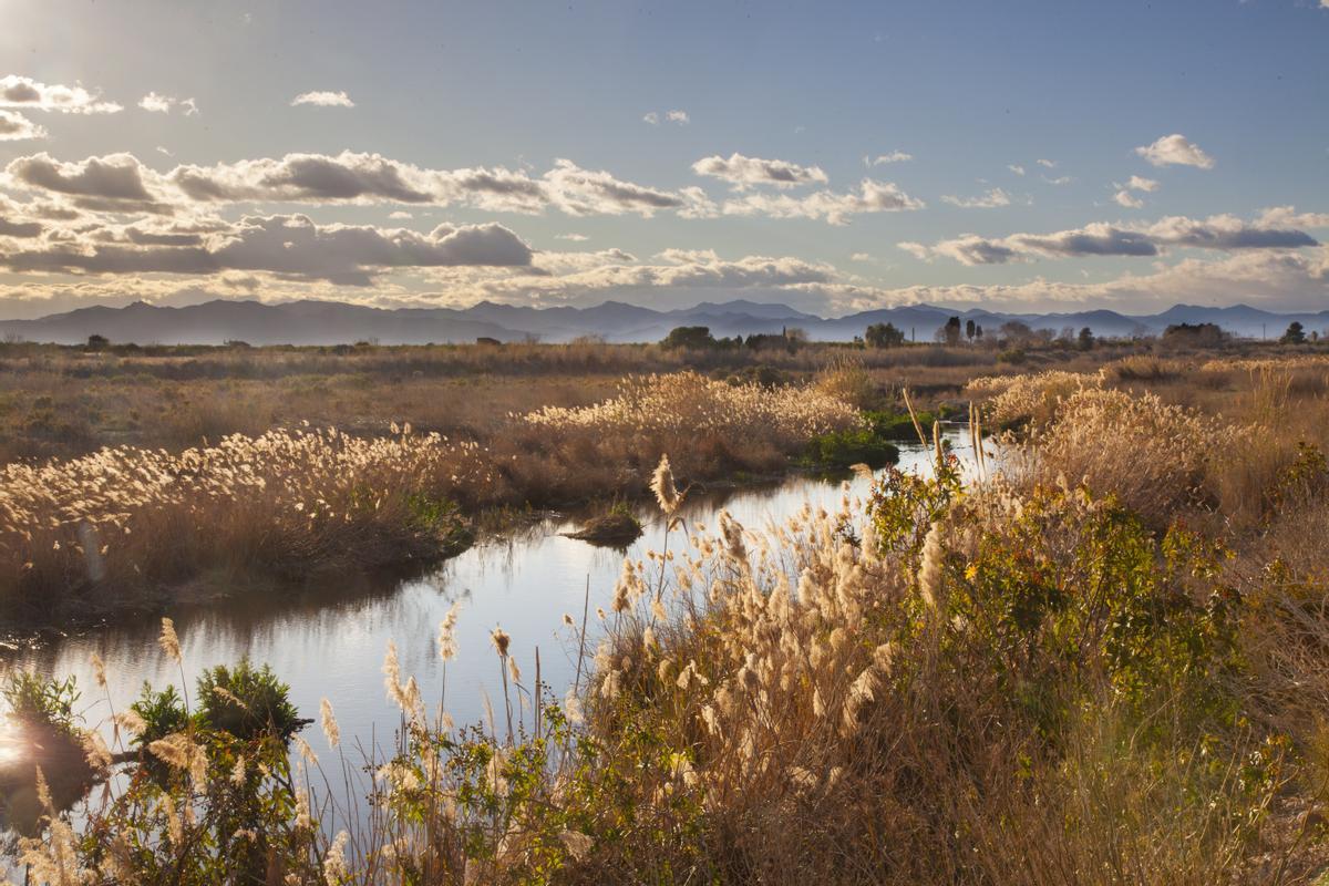 Bellos paisajes y la presencia de numerosas especies de aves pueblan el municipio.