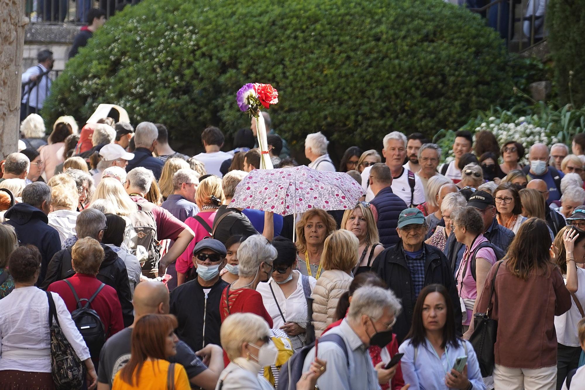 Temps de Flors 2022: les millors imatges d'aquest diumenge