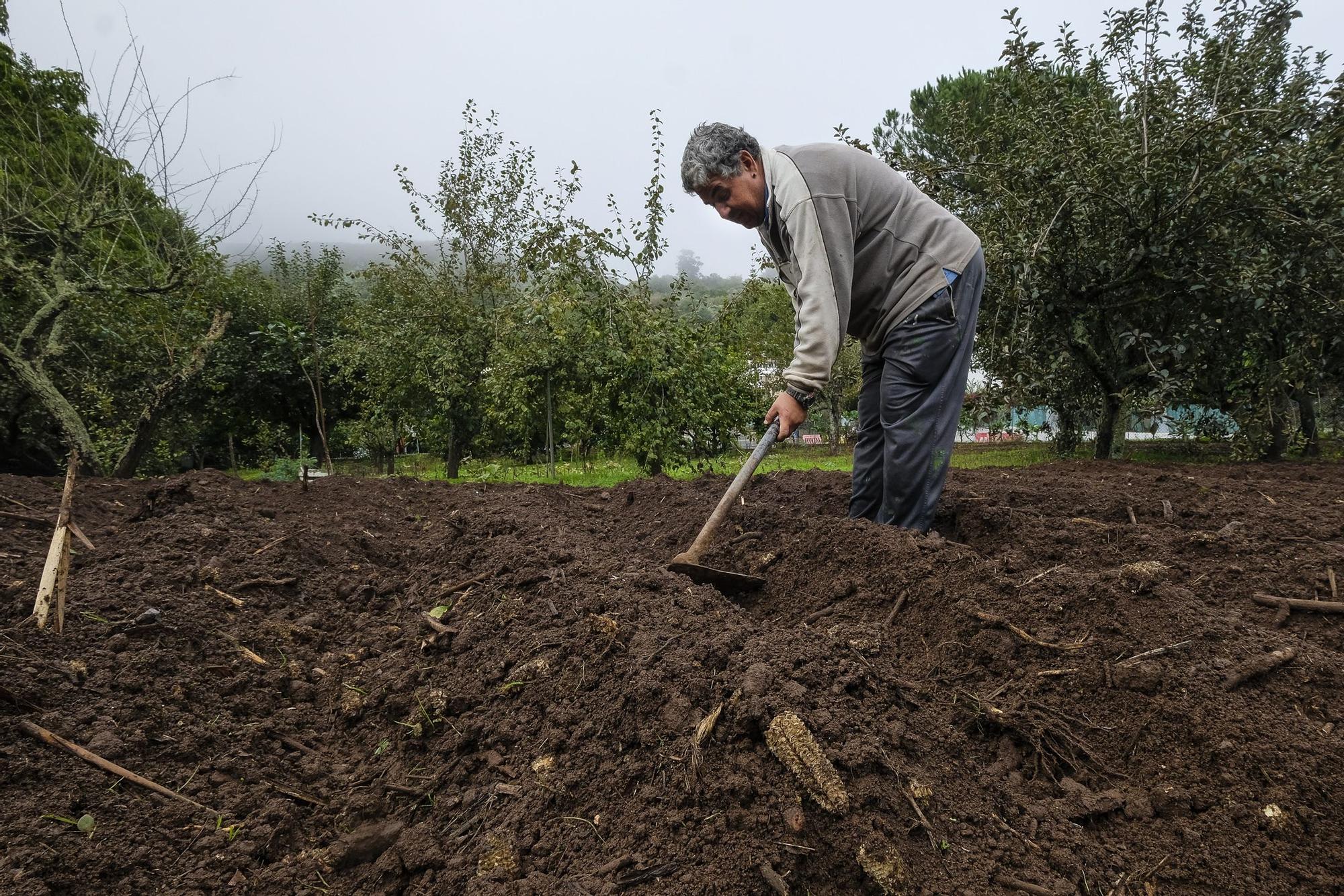 Un chubasco de manzanas