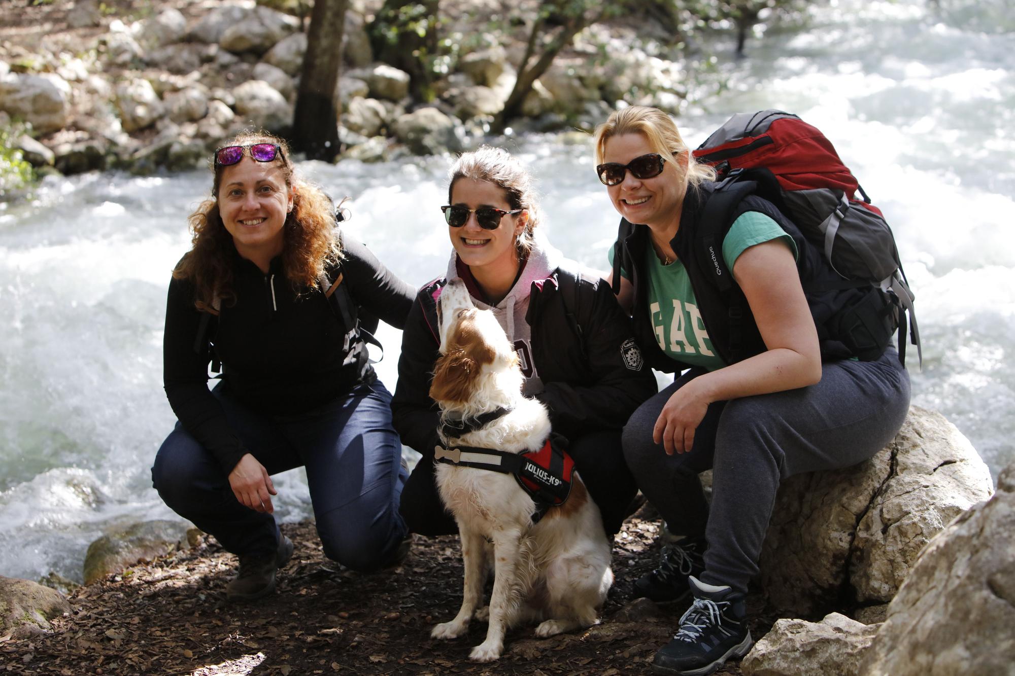 Die Quellen sprudeln wieder: Impressionen einer Wanderung zu Ses Fonts Ufanes auf Mallorca