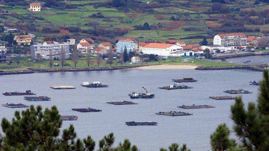 Los bateeiros gallegos reforzarán con IA su sistema predictivo de producción para anticiparse mejor al impacto del cambio climático