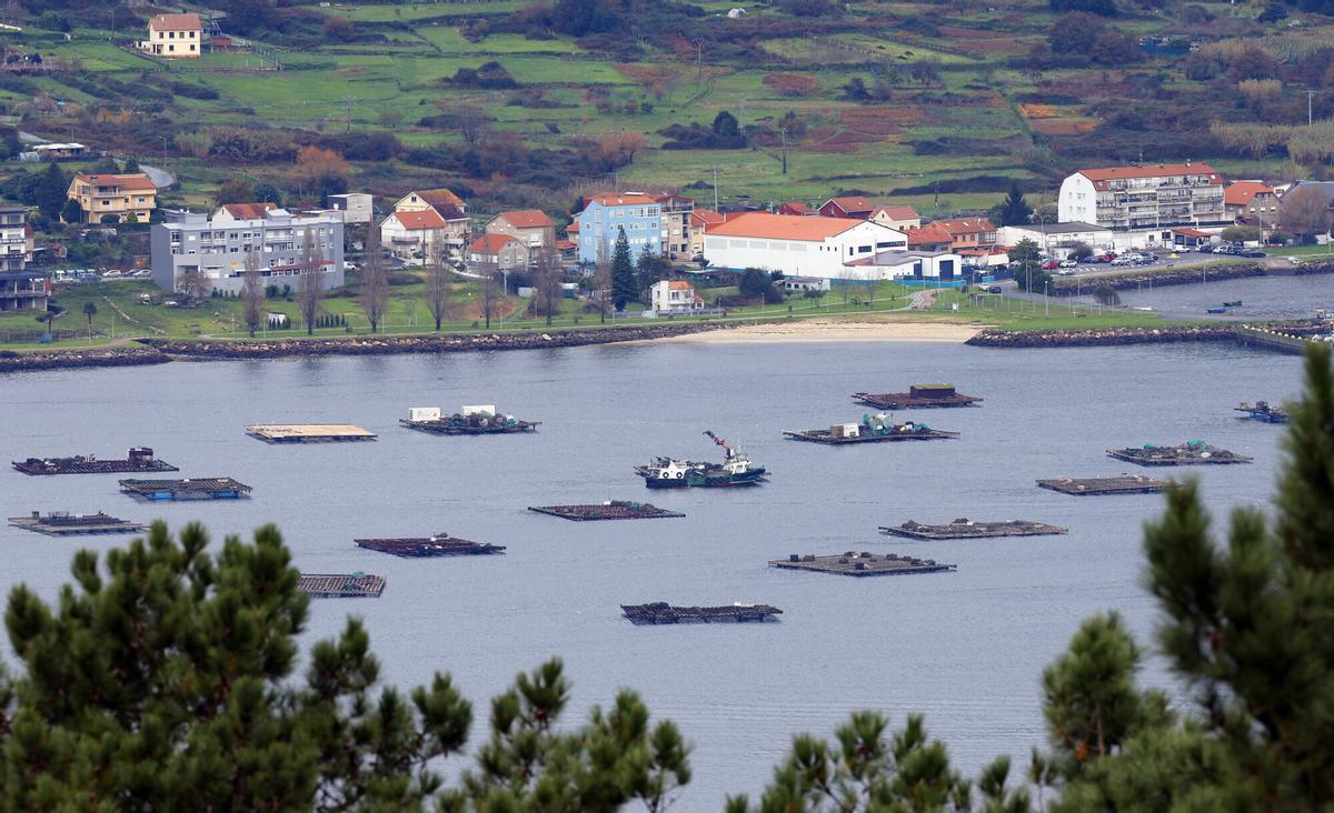 Vistas de bateas en la ría de Vigo.