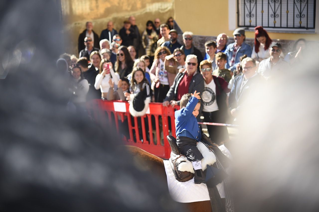 Bendición de animales por San Antón en Cartagena