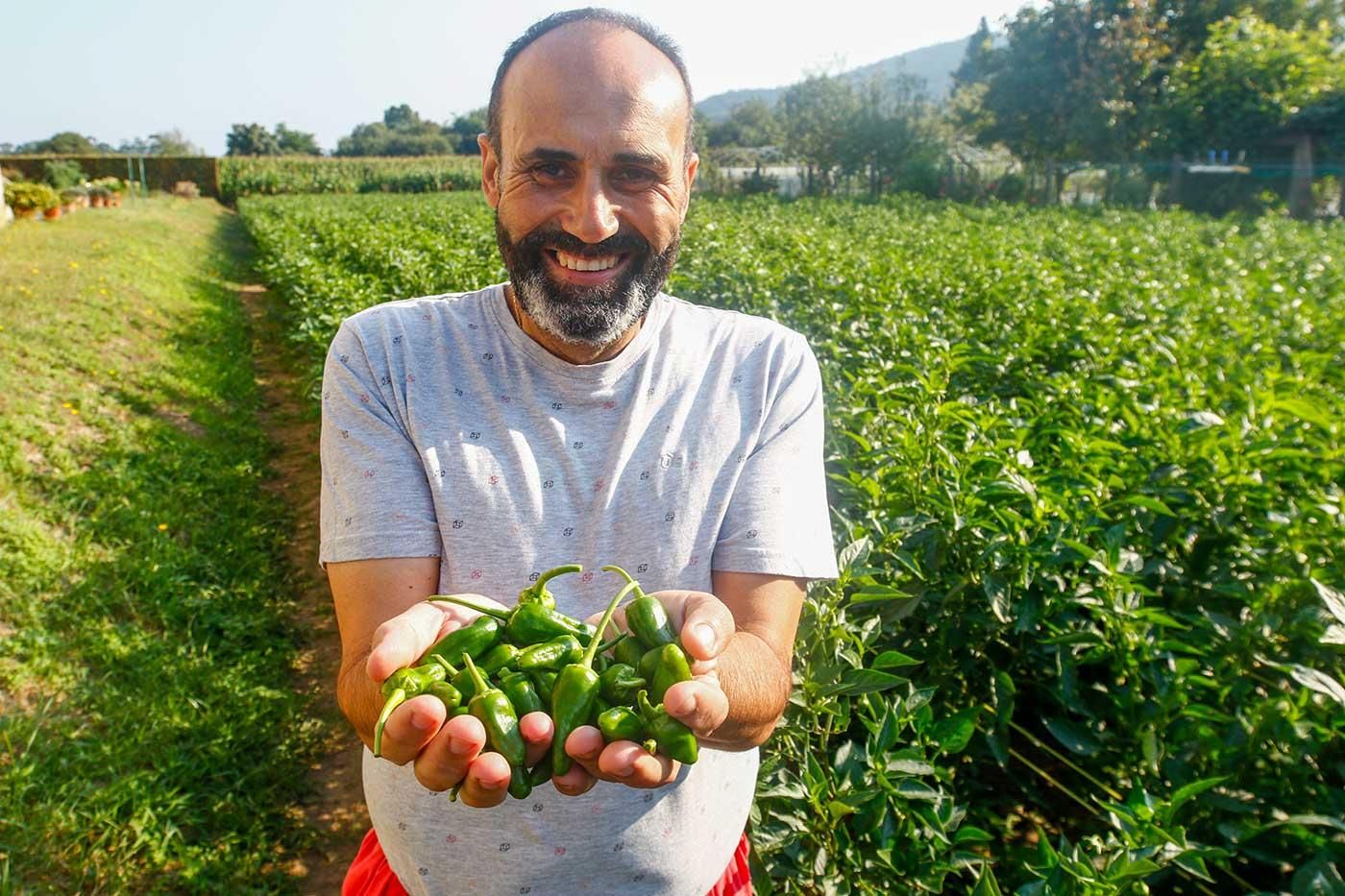 José M. Ferro   - Cultivo de pimiento de Herbón