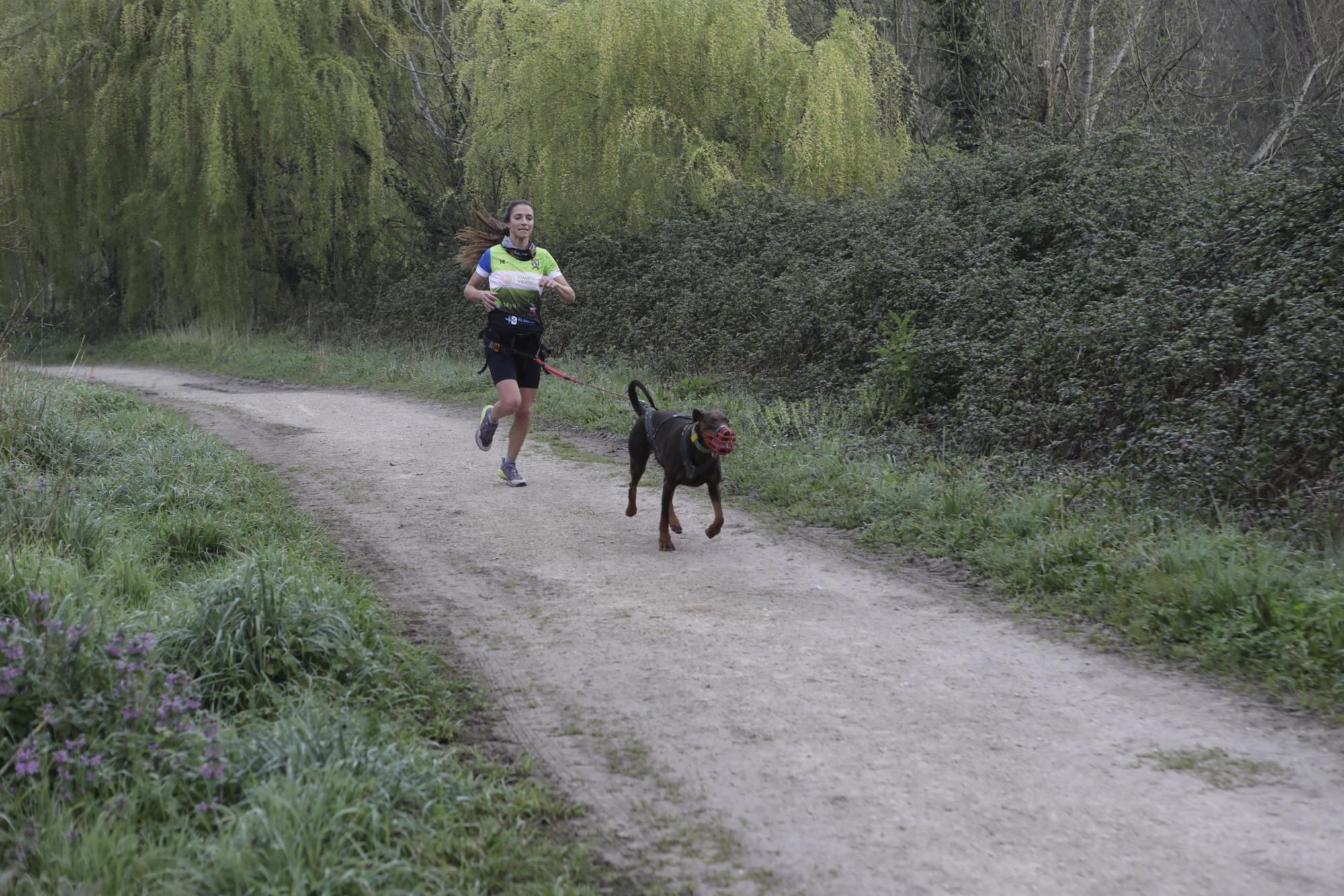 Los corredores del Celtastur de Llanera y sus perros preparan el Mundial en La Morgal: cuatro de sus integrantes estarán en la cita de Plédran (Francia)