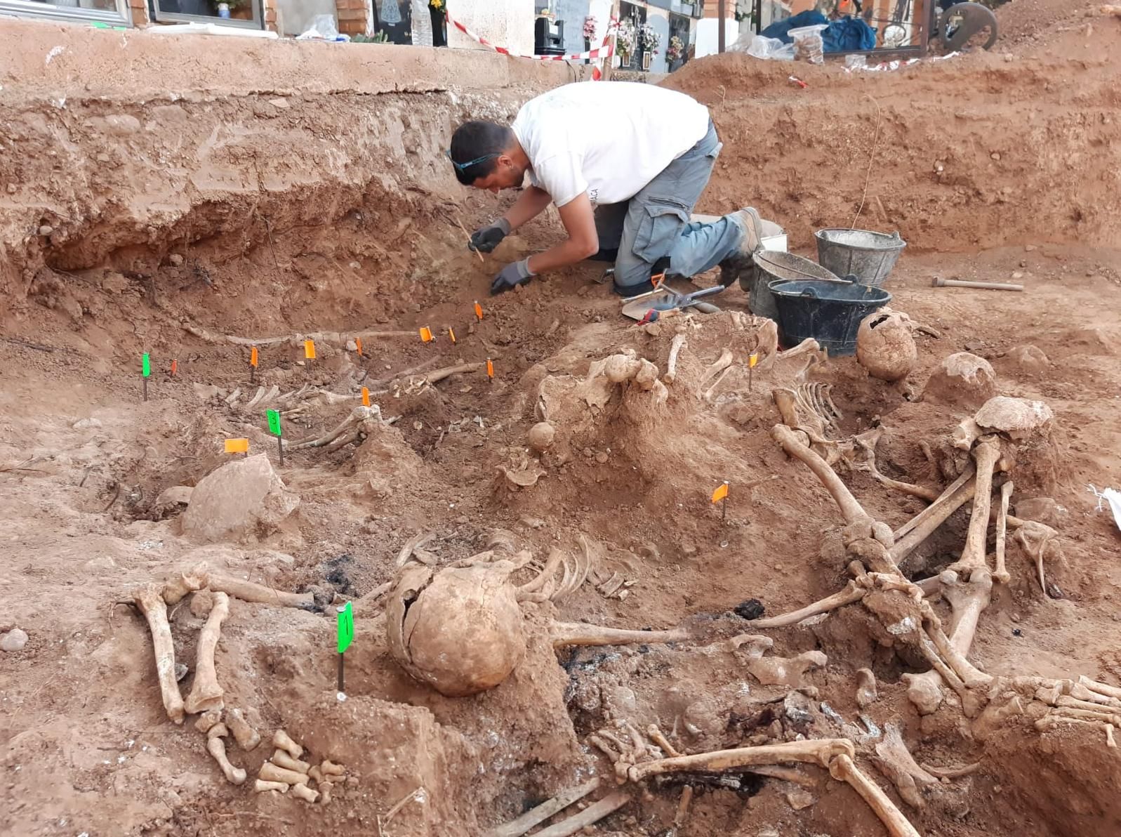 Esqueletos extraídos en la exhumación de una fosa común en Belchite.