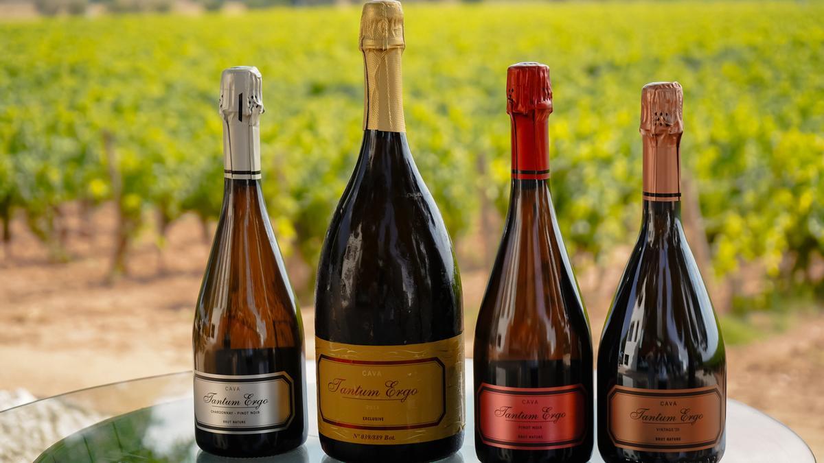 Los cavas que se elaboran en Bodegas Hispano+Suizas se encuentran entre los mejor valorados de toda España