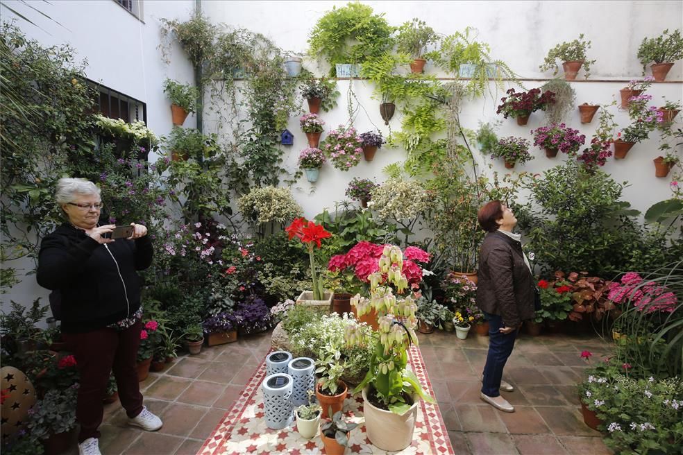 Mención de Honor y primeros premios del Concurso Municipal de Patios 2018