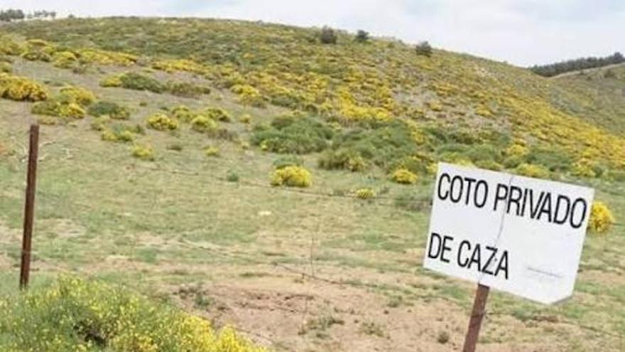 Arrestato un uomo dopo aver sparato contro due cacciatori in un terreno di caccia a Torreblanca