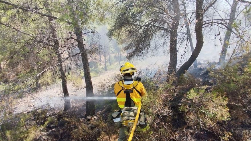 La Comunidad impone restricciones para evitar incendios: esto es lo que estará prohibido en las zonas de monte