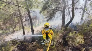 La Comunidad impone restricciones para evitar incendios: esto es lo que estará prohibido en las zonas de monte