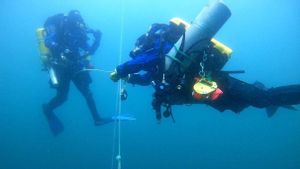 Imagen de archivo de Buchan divers, un grupo de buzo de naufragios en Escocia