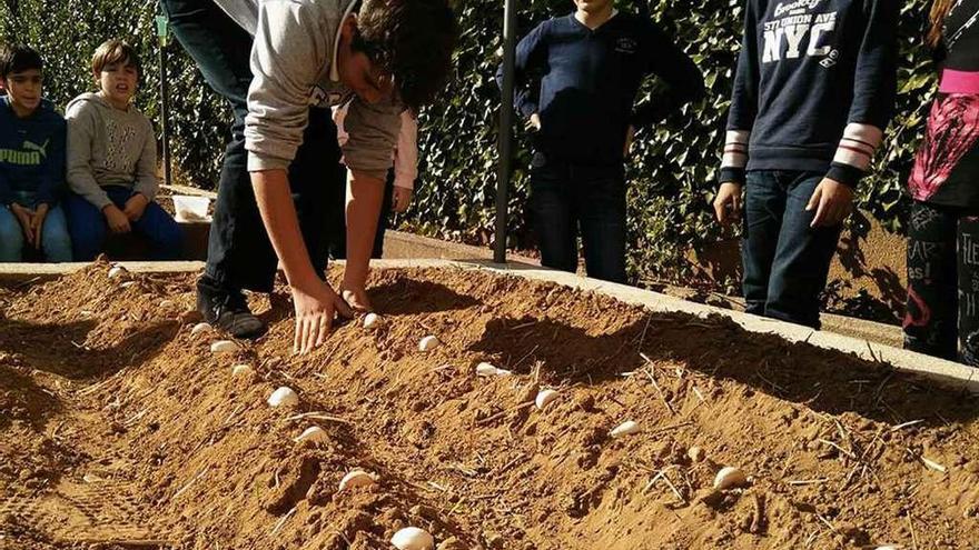 Alumnos del colegio San Vicente de Paúl retoman las actividades en el huerto escolar