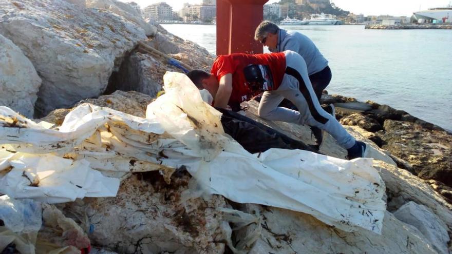 Hallan plásticos de más de 5 metros en la escollera sur de Dénia