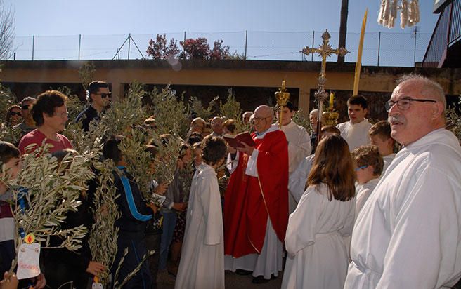 Domingo de Ramos en Santa Maria