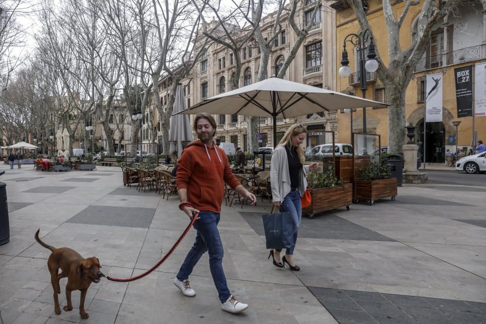 Los comercios de Es Born pagan alquileres de hasta 200 euros por metro cuadrado