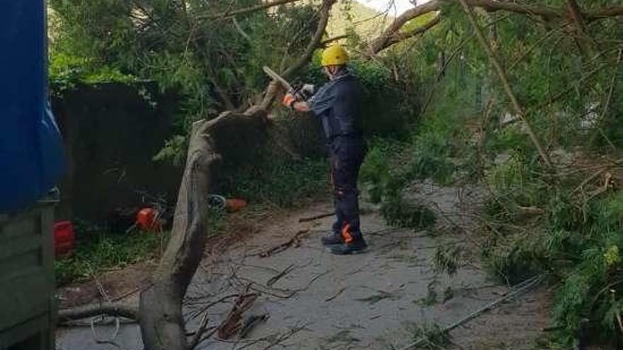 Un operario talando los árboles en el vial de O Mato. // S.Á.