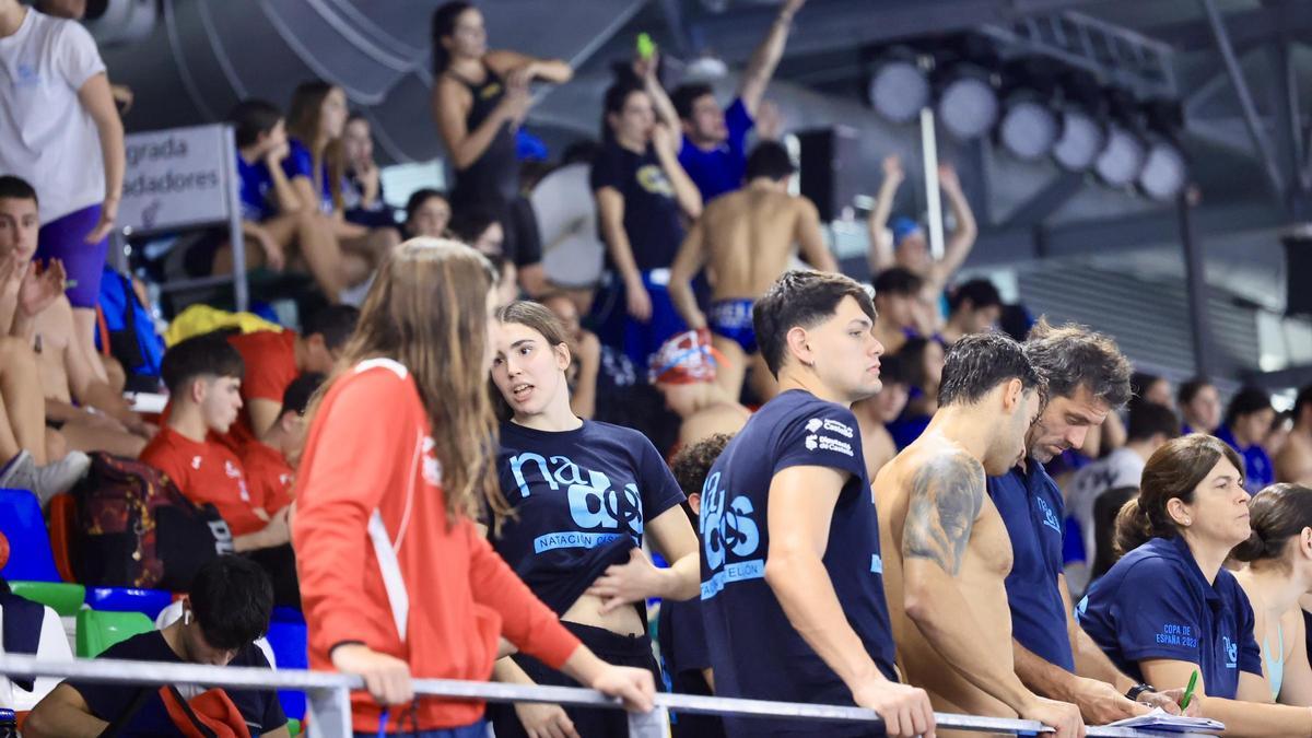 Galería: El Trofeo Internacional de natación echa el cierre en Castellón
