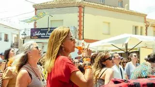 Sumérgete en la esencia de Tierra Bobal: vino, naturaleza y música a menos de una hora de Valencia