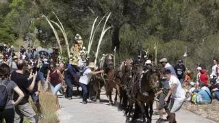 La Romeria a Santa Anna de la Llosa de Ranes ya es Fiesta de Interés Turístico Provincial