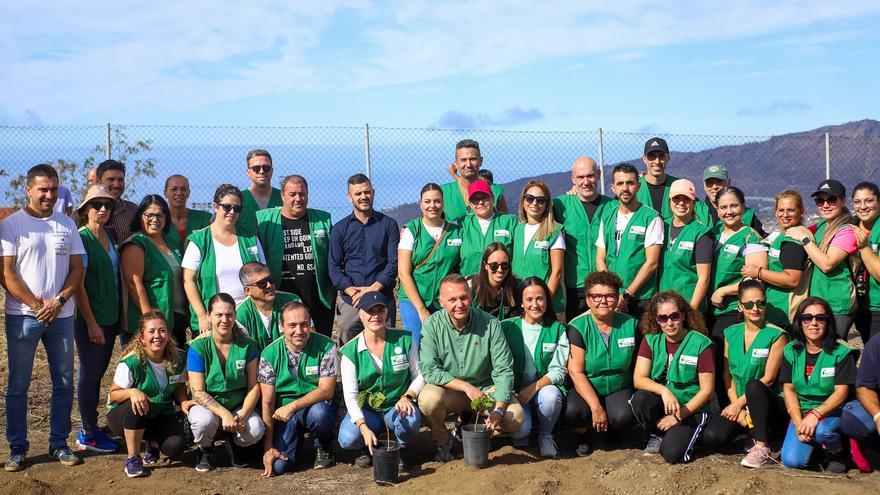 Trabajadores de HiperDino plantan morales en una de las zonas afectadas por el volcán de La Palma