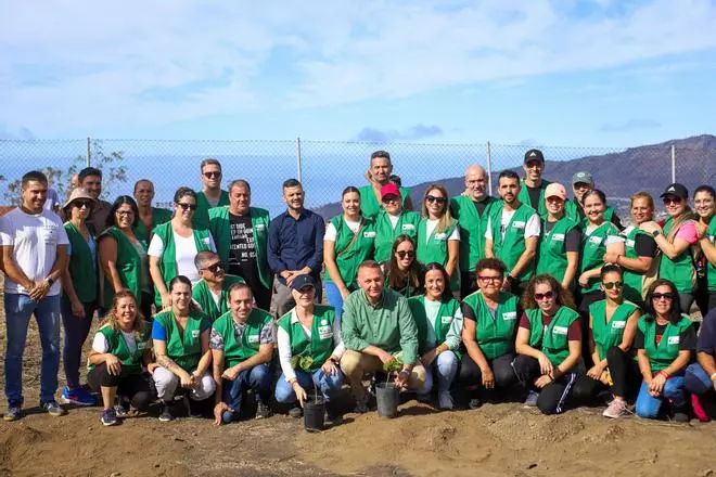 Trabajadores de HiperDino plantan morales en una de las zonas afectadas por el volcán de La Palma