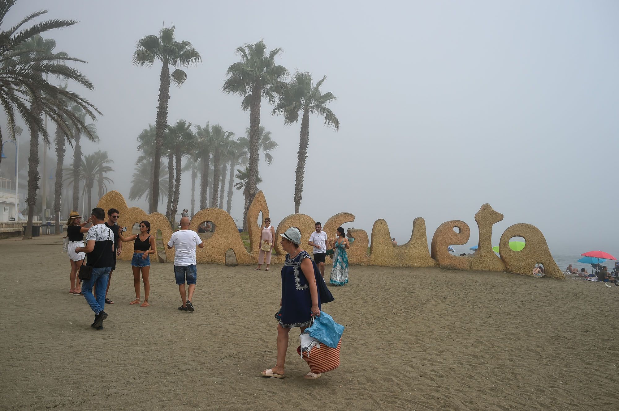 El taró cubre el litoral de Málaga