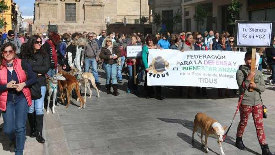 Contra el maltrato a los perros de caza