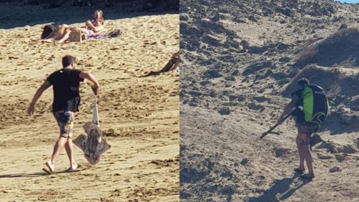 Sorprendido destripando un angelote y actúa de forma violenta a sus detractores en una playa de Gran Canaria