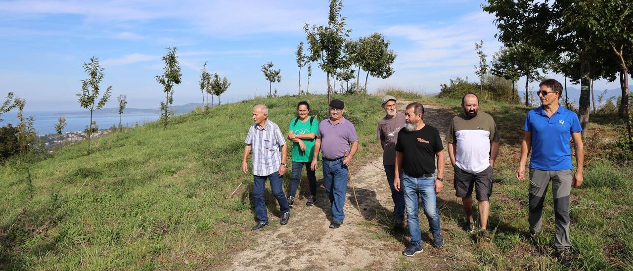Directivos de la Comunidade de Montes de Matamá, ayer, en una zona recuperada tras los incendios de 2017. Los vecinos han reforestado con frondosas autóctonas más del 80% del terreno ardido.