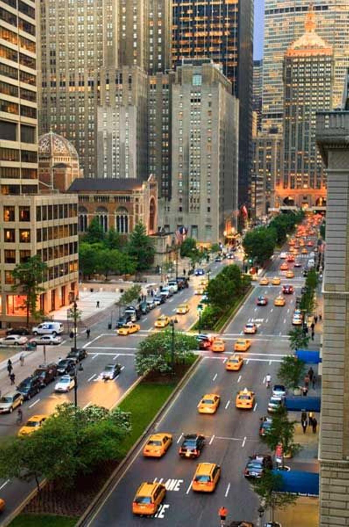 Nueva York para todas las edades