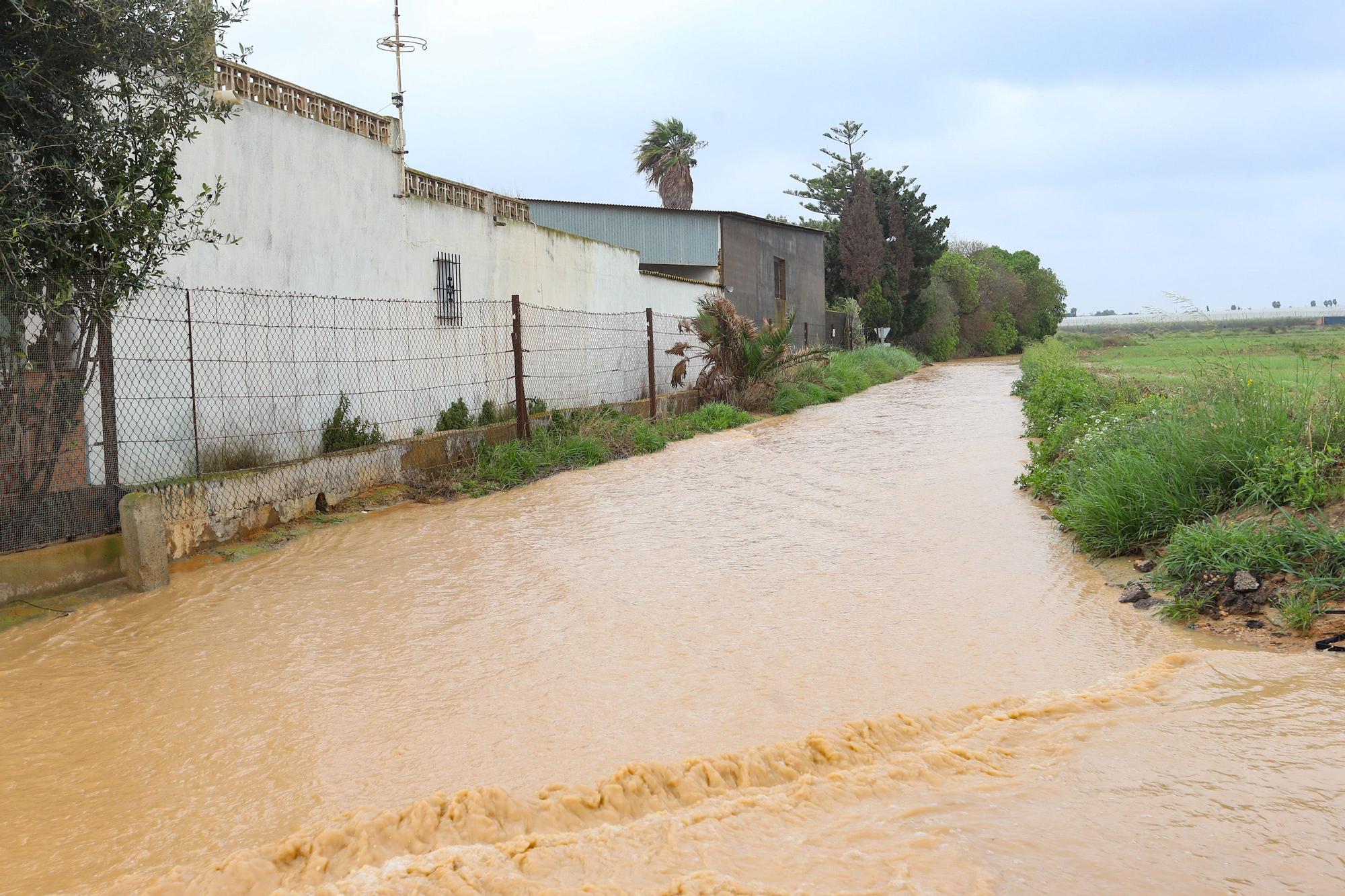 Pilar de la Horadada reclama a la CHS atajar las inundaciones del Mojón con balsas de laminación en la cabecera de las ramblas