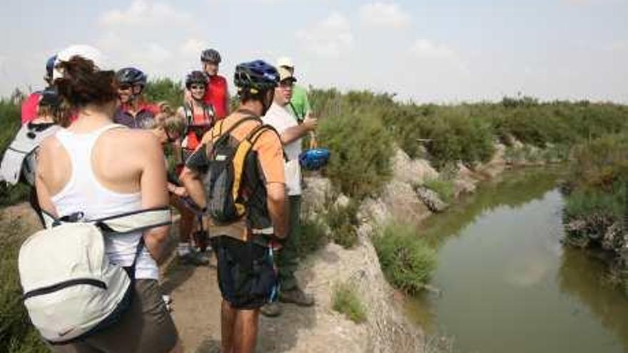 Excursionistas visitan el canal del Campo de Elche.