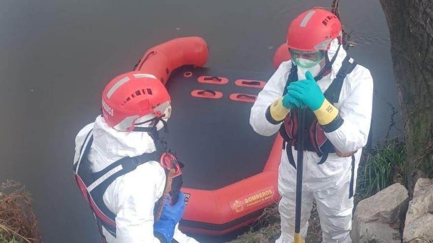Bomberos trabajando en la orilla del Río Manzanares, en la zona de Perales del Río.