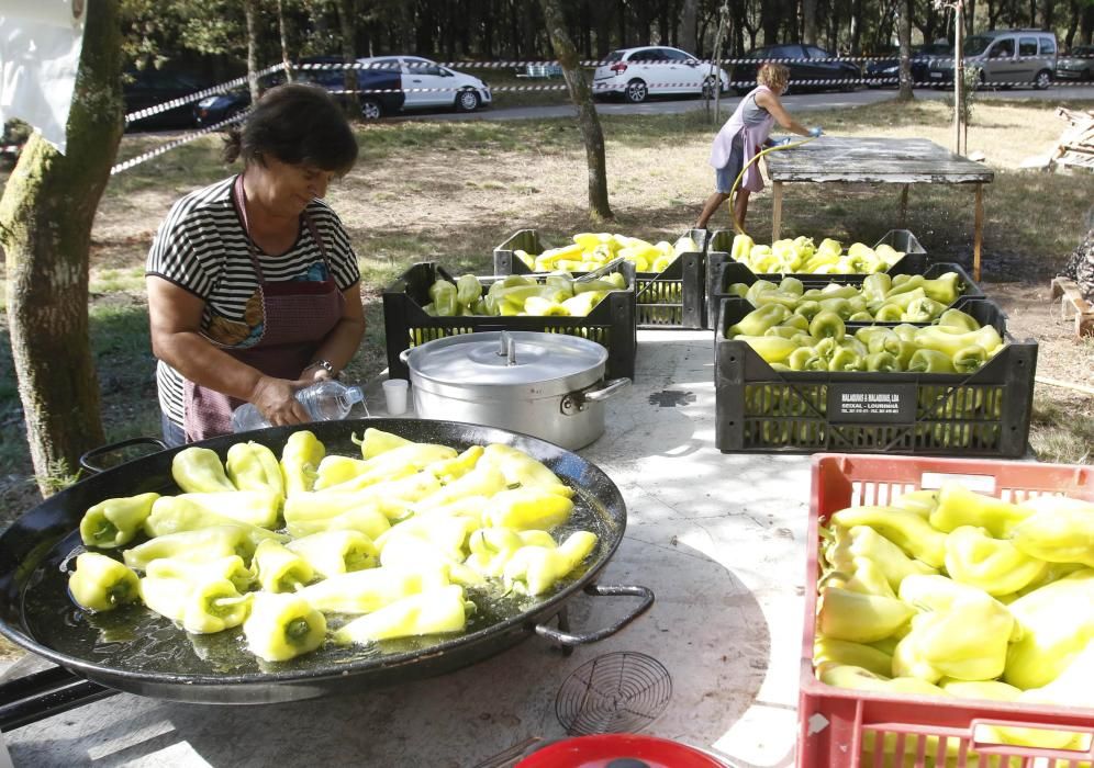 El parque forestal de Candeán celebra su gran romería, que espera recibir hasta 5.000 visitantes